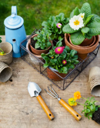 Garden Tools Collection